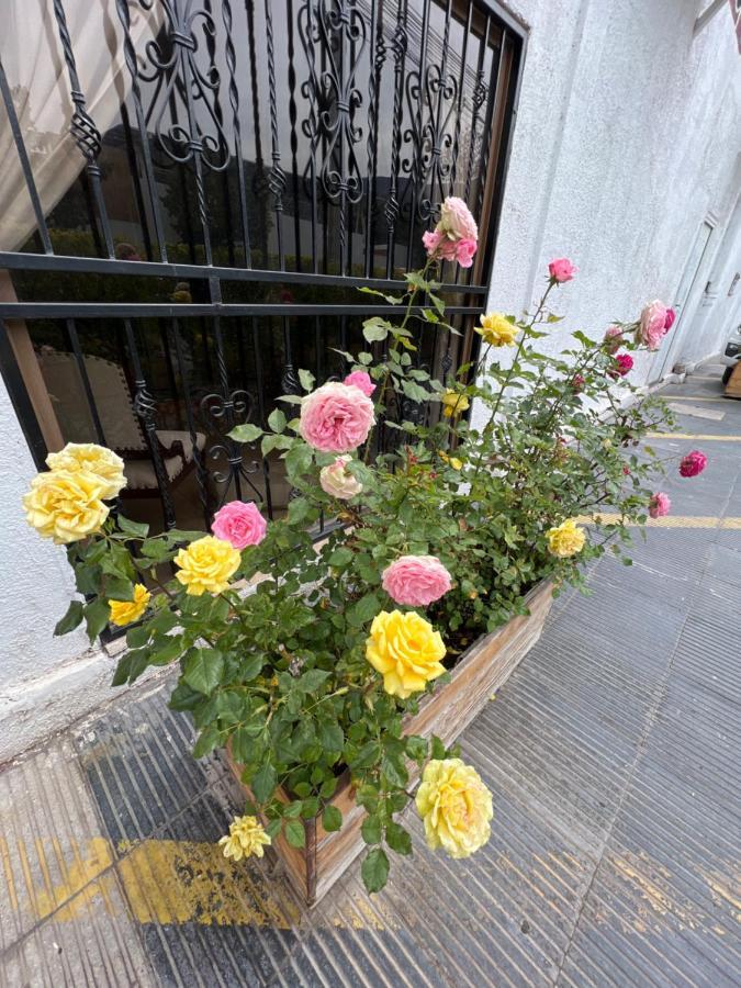 Hotel San Enrique Salamanca 外观 照片